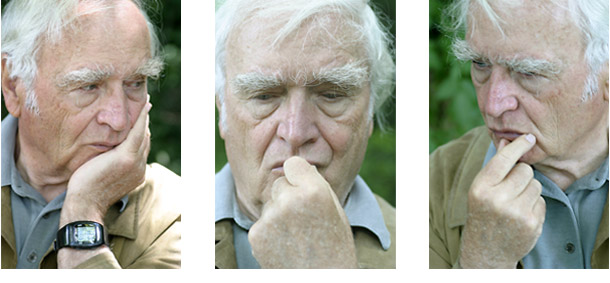 martin_walser_fotoserie